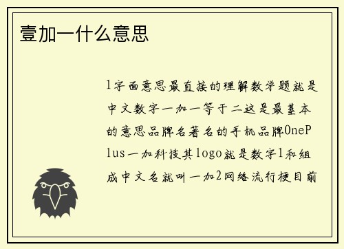 壹加一什么意思